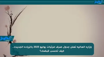 وزارة المالية تعلن جدول صرف مرتبات يوليو 2025 بالزيادة الجديدة.. كيف تحسب قبضك؟